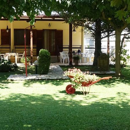 Garden Beach House Paralia Panteleimonos Zewnętrze zdjęcie