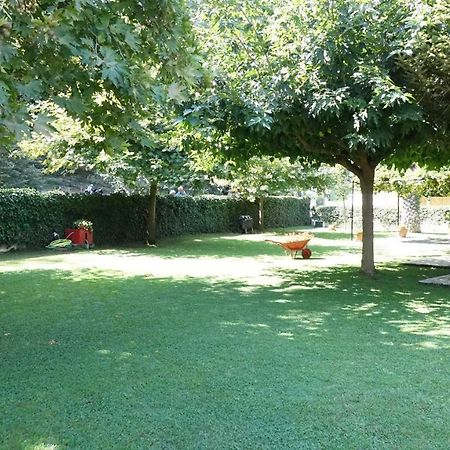 Garden Beach House Paralia Panteleimonos Zewnętrze zdjęcie