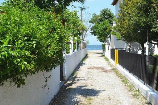 Garden Beach House Paralia Panteleimonos Zewnętrze zdjęcie